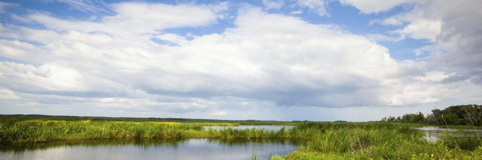 Savannah National Wildlife Refuge
